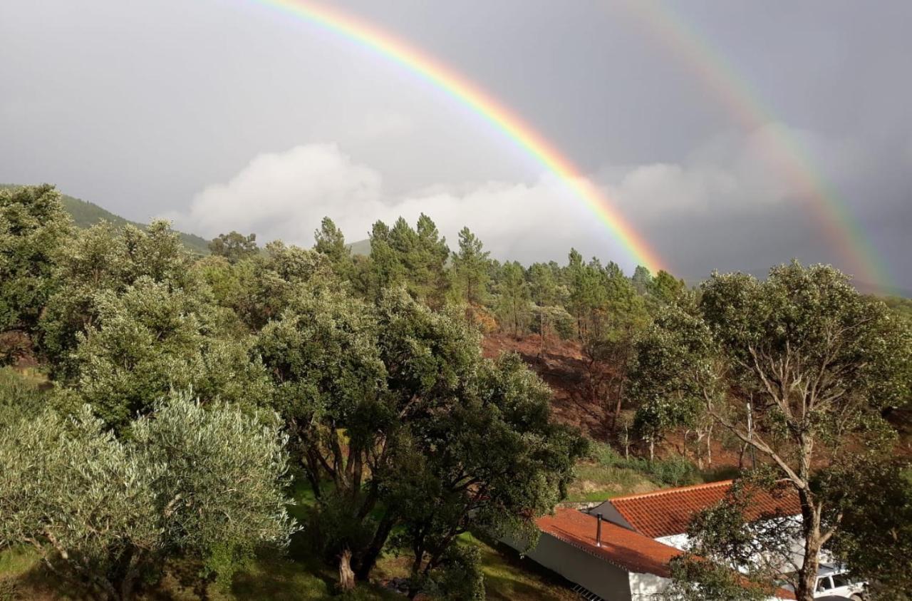 Vale de Prazeres Quinta Da Barroquinha 게스트하우스 외부 사진