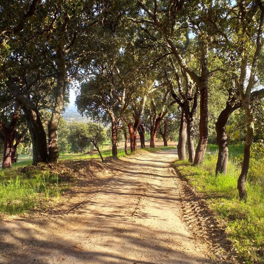 Vale de Prazeres Quinta Da Barroquinha 게스트하우스 외부 사진
