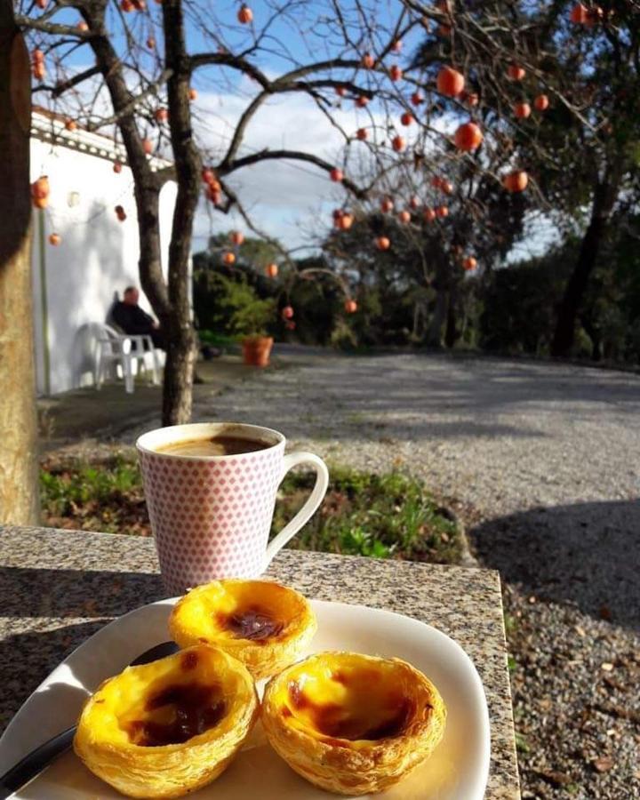 Vale de Prazeres Quinta Da Barroquinha 게스트하우스 외부 사진